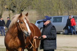 GWAR (Bacyk - Gonia po Monter)