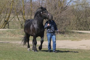 EKWADOR (Roki - Europa po Blondyn)