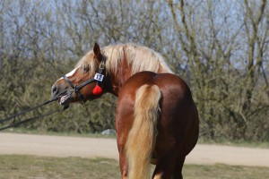 EPOS (Bit - Era po Ug&oacute;r)