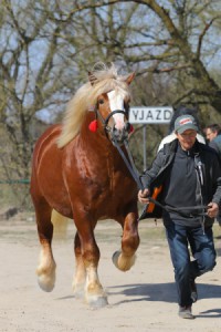 EPOS (Bit - Era po Ug&oacute;r)