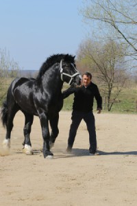 ERMITAŻ (Brygadzista - Elegia po Cynk)