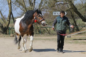 LOADER (Rosman - Ladera po Arnold)