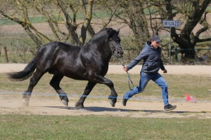 EKWADOR (Roki - Europa po Blondyn)