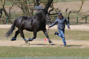 EKWADOR (Roki - Europa po Blondyn)