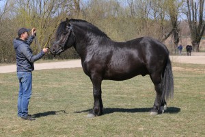 EKWADOR (Roki - Europa po Blondyn)