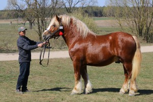 EPOS (Bit - Era po Ug&oacute;r)