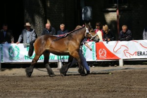 kl. ETERNITE DE SERY (Leo 148 - Thana De Sery po Orion Du Vallon)