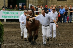 IMG_9200-5760199dd565d