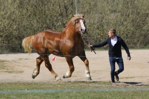 BAJKAŁ (Mamrot - Birma po Pasat)