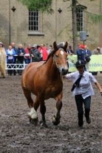 kl. VIOLA (Marvin - Vissla po Mascot)