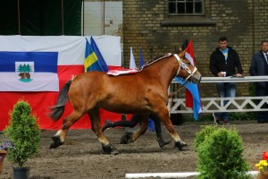 kl. GALIA (Julio De La Boverie - Gebella po Pacha De Lagrange)