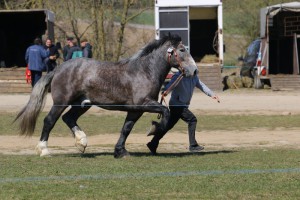 ULKAR (Łebek - Ulyssia Des Auroux po Mubert)