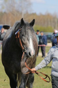 ULKAR (Łebek - Ulyssia Des Auroux po Mubert)