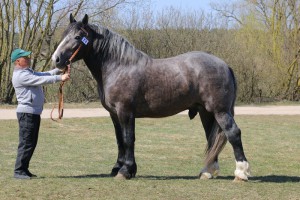 ULKAR (Łebek - Ulyssia Des Auroux po Mubert)