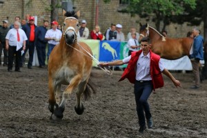 kl. VULCANA (Leo 148 - Volcane De Sery po Orion Du Vallon)