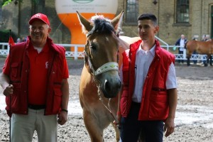 kl. VULCANA (Leo 148 - Volcane De Sery po Orion Du Vallon)