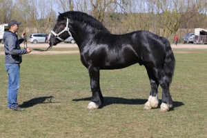 ERMITAŻ (Brygadzista - Elegia po Cynk)