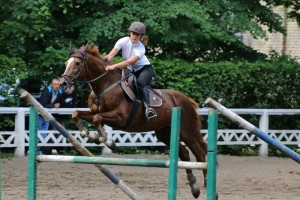 Konkurs skok&oacute;w przez przeszkody