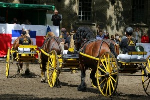 Kadryl ogier&oacute;w