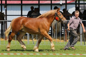 IMG_9581-5cf4db0b96d6d