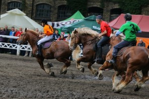 Wyścigi ogier&oacute;w