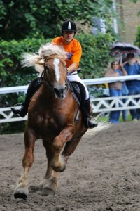 Wyścigi ogier&oacute;w