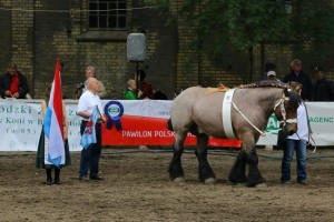 og. ELIOT DE L'HALVIGNE (Wisky De L'Havigne - Bianca De L'Havigne po Jordi Du T'Chenet)