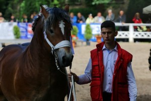 og. WERSAL S. A. (Rival Du Caire - Werwa po Bonair)