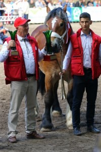 og. WERSAL S. A. (Rival Du Caire - Werwa po Bonair)