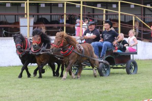 IMG_9751-5cf4db28c1004