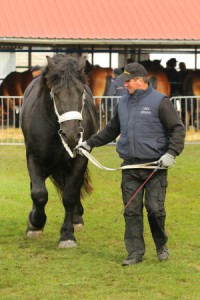 IMG_9991-5d9ef26f72aa2