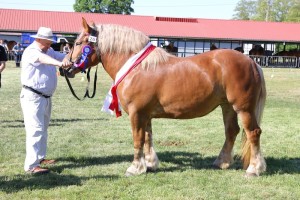 TINA (Wilan - Tala po Bilet)