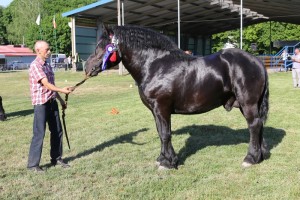 GABON (Umik - Gbona po Bonprix)