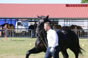 WINEK (Pionier - Wenecja po Bejs)