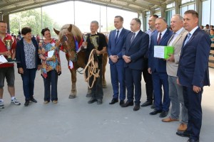 Dekoracja klaczy Tina